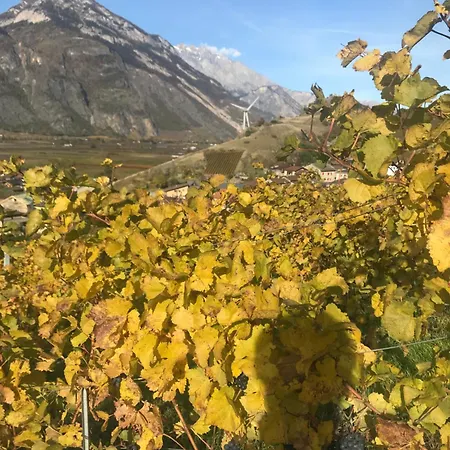Apartment Taou Martigny