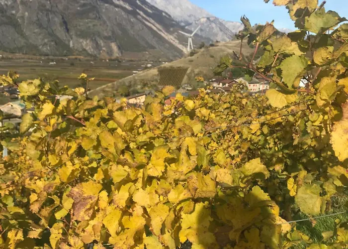 Apartamento Taou Martigny