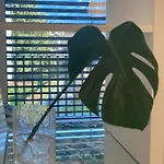 Apartment Taou *