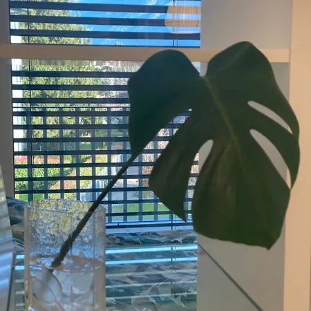 Apartamento Taou *